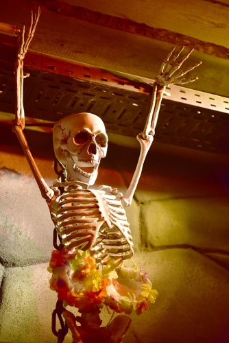 Fotoarchiv - 14245.jpg