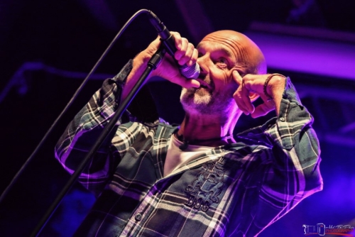 7tcover_29.7.2022_Waldrock - 28 von 53.jpeg