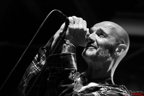 7tcover_29.7.2022_Waldrock - 29 von 53.jpeg