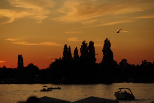 7tc_Seefest_2862025 - 1 von 51.jpg