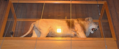 7tc_Dukes_29825 - 1 von 24.jpg