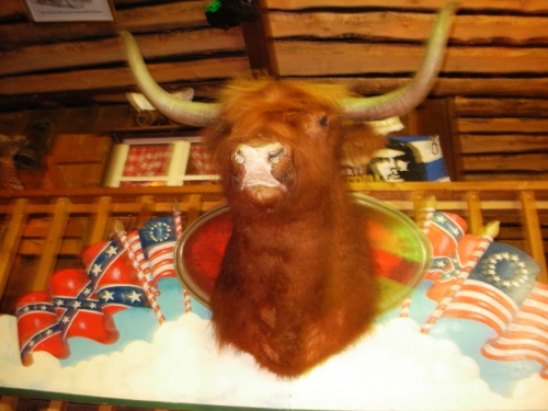 7tc_TCCrows_6.10.2018 - 02.jpg