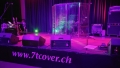 7tc_Rocknight_Wettswil_2712024 - 17 von 25.jpg